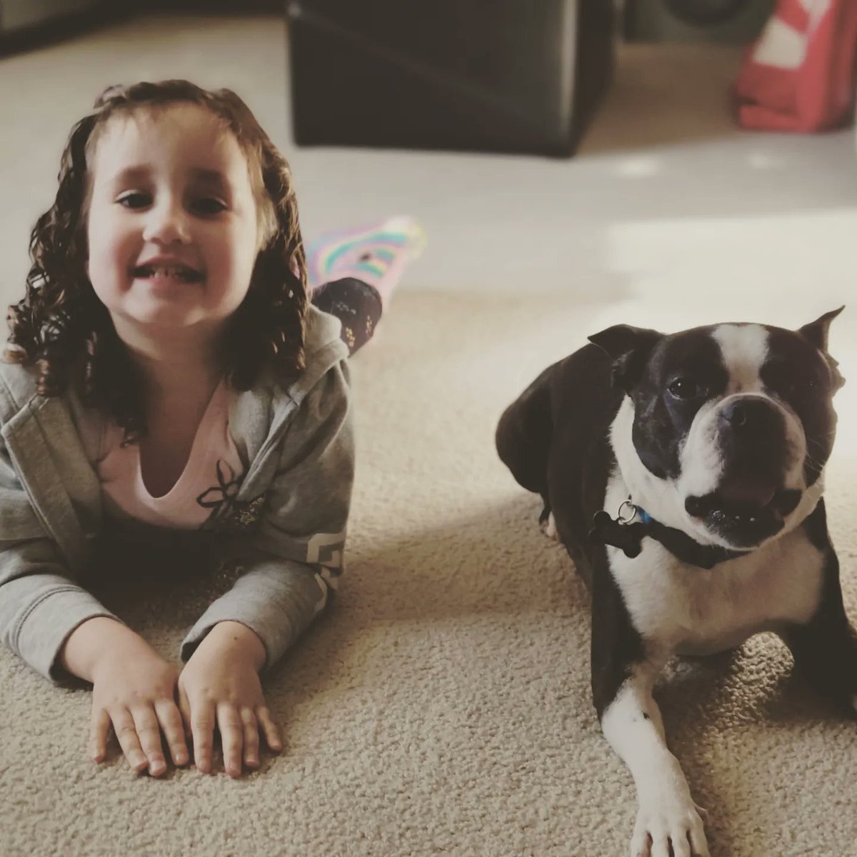 Micaelame123's tweet photo. Did you know it's National Kids &amp; Pets Day? Well, now you do. Enjoy my kids, with and without fur! #DobbinsFamilyAdventures #BestGoodFriends https://t.co/vKfSvp05df