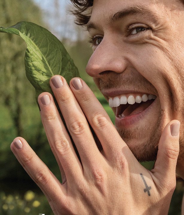 best harry pics (@hstylespics) on Twitter photo 