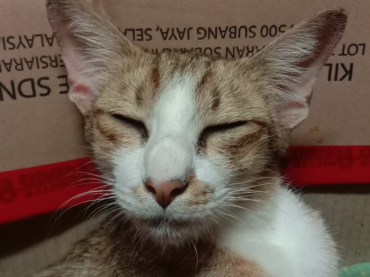 Rinrin6204's tweet photo. 😑😑😑 https://t.co/JcH1GeUDaD