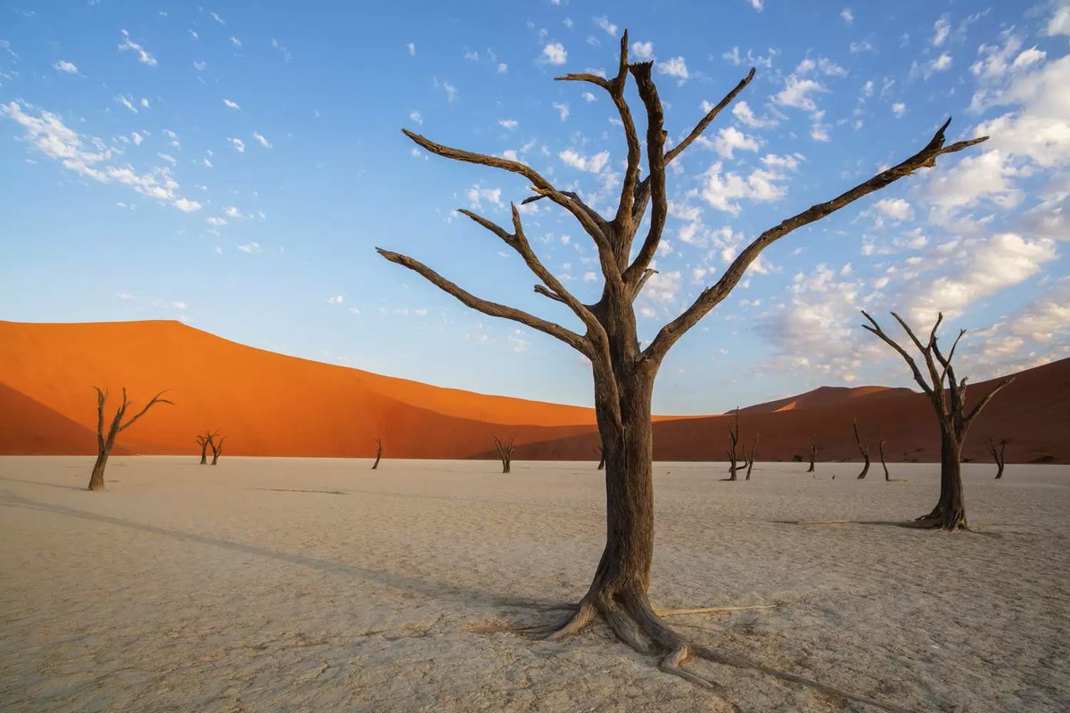 Our #Beautiful Planet 02 / Dead Vlei – The Beautiful Yet Dead #Forest  /
The name Deadvlei means ‘dead marsh’ and the place is also known as ‘Dooie Vlei’.
Location: #Namibia
#photo #photographer #NaturalBeauty 
#photooftheday #NatureBeauty 
#follow #NaturePhotography  #photograph