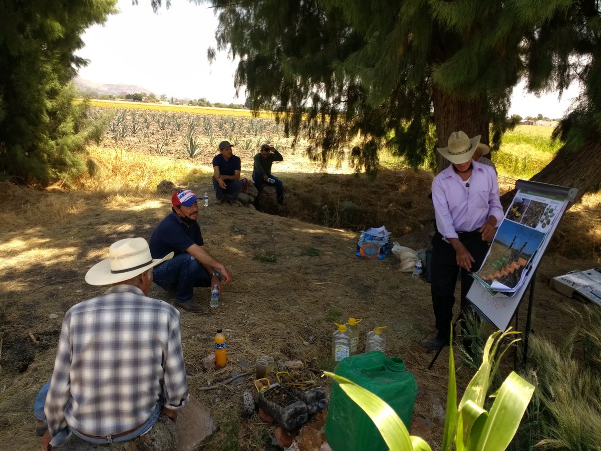 Compartir experiencias de productor a productor...

Una herramienta infalible en la transmisión de tecnologías sustentables... el señor Javier Ramírez de La Lobera explica a sus compañeros productores los principios de Agricultura de conservación. 

<a href="/CIMMYT/">CIMMYT</a>