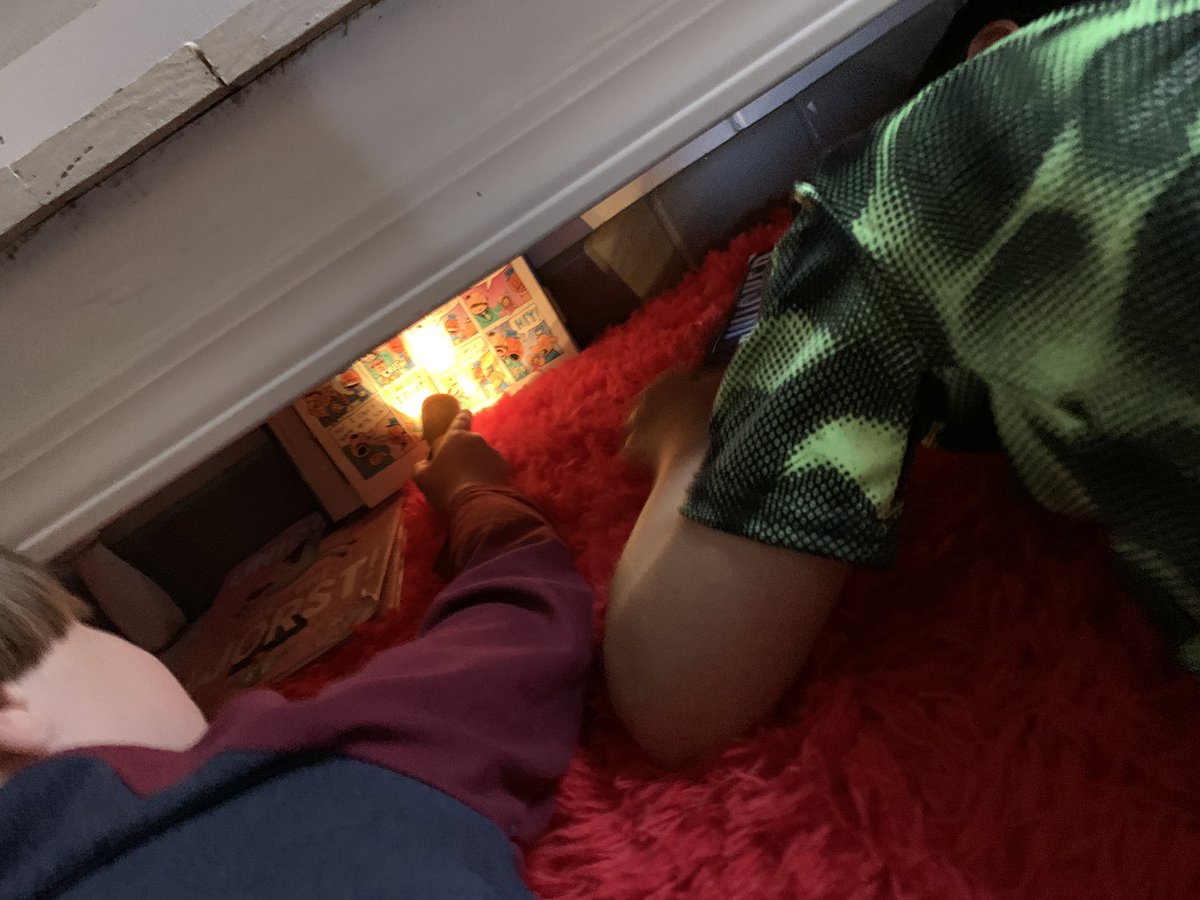 RLGardiner_'s tweet photo. Not many better ways to read a Dog Man book than this! #flashlightday Wish I could share the silly comic book voices I heard from under this table. https://t.co/iOGbuI8DwW