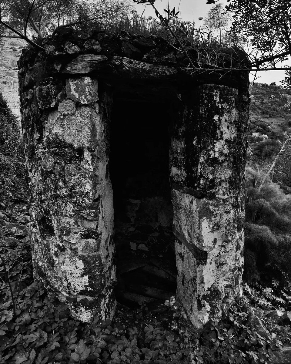 ohhcomeonmann's tweet photo. #AliceInWonderland #MyPhotography https://t.co/Ac0vwueWdP