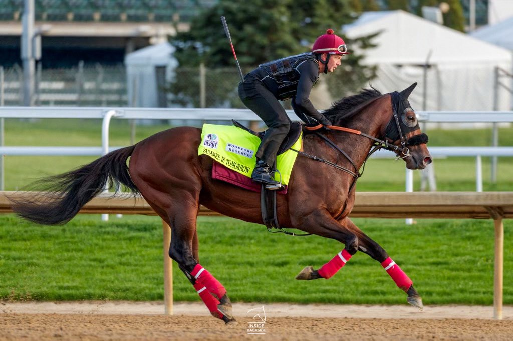 InsideBackside's tweet photo. UAE Derby runner up #SummerIsTomorrow galloped a mile and a half @ChurchillDowns this morning #KyDerby @BhupatSeemar https://t.co/EUbEsaVK16