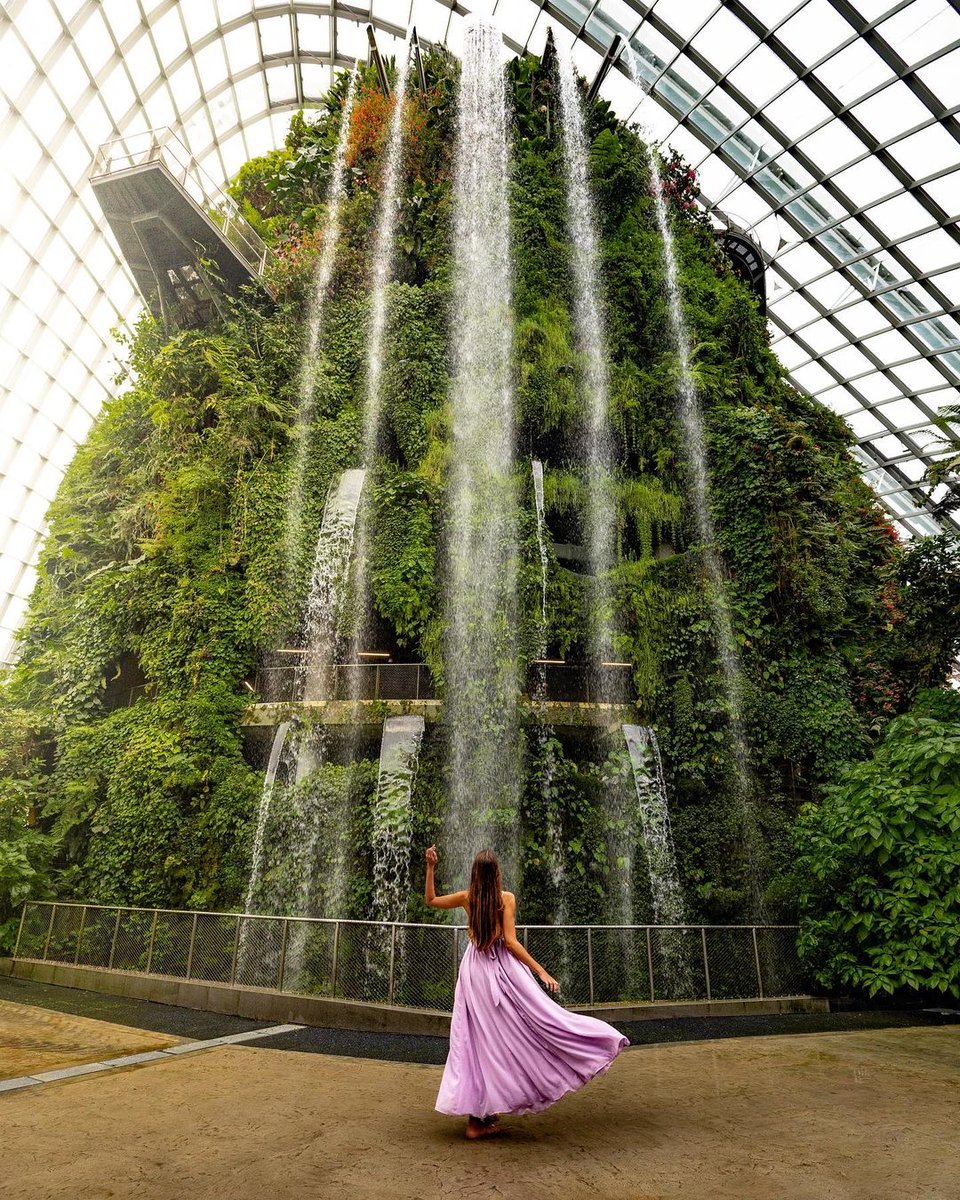 Cloud Forest is home to one of the world's largest waterfalls around the world 🌊 Have you been to the world renowned Gardens by the Bay in Singapore? 😲

📷 <a href="/voyagefox_/">Nathalie Aron</a> on Instagram