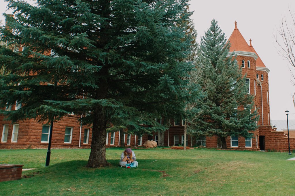 NAU's tweet photo. POV: Studying at NAU 🌲 https://t.co/u6baSwdWF0