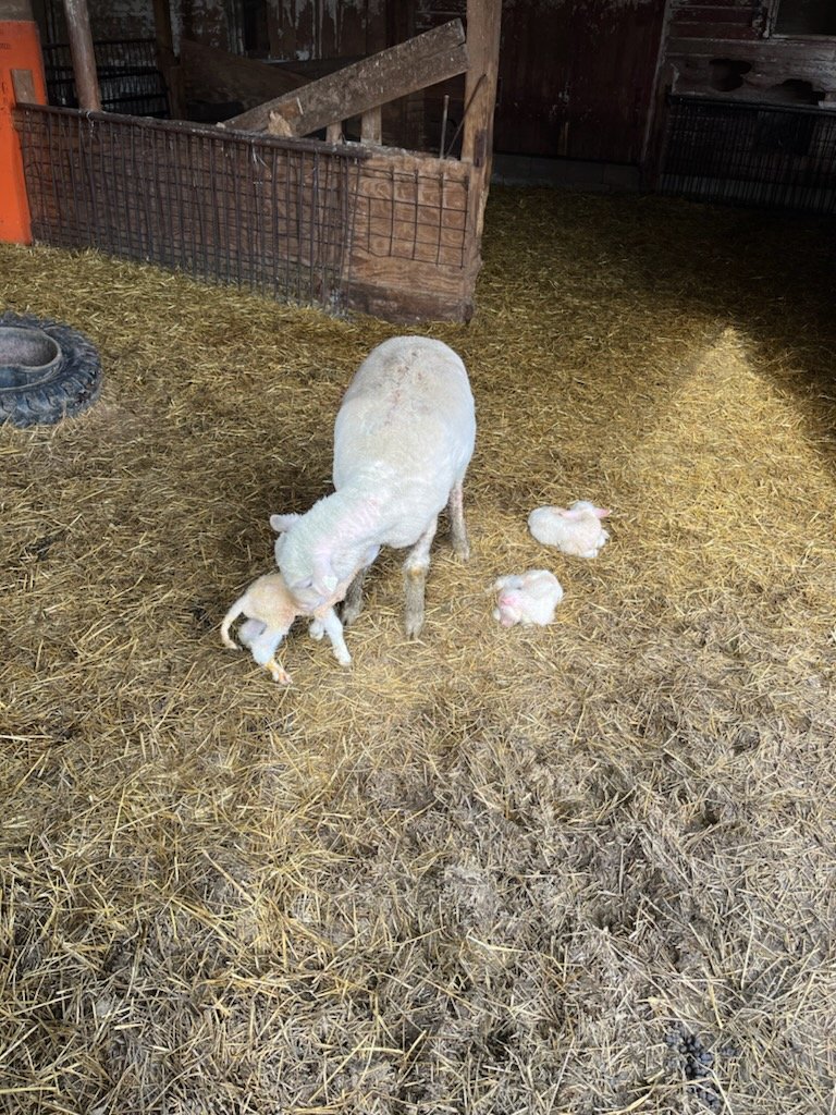 Bennett Smith tweet media