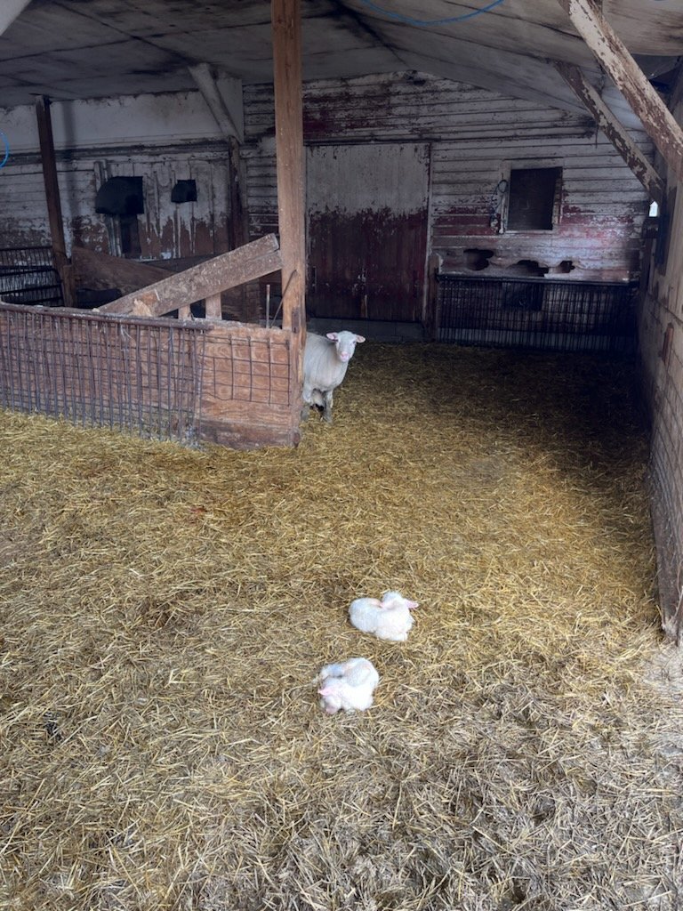 Bennett Smith tweet media