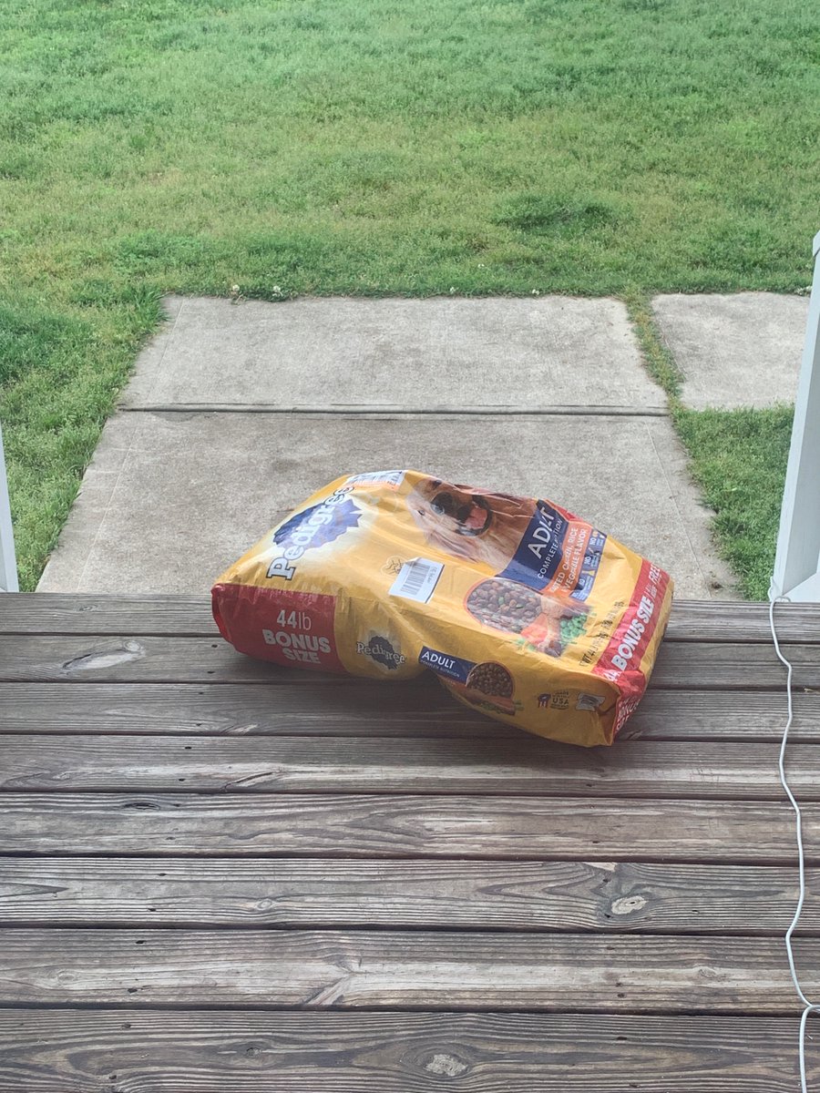 SamEHill621's tweet photo. @Target look, I’m not here to judge you, but I really don’t think @PedigreeUS expected you to slap on a postage label and ship the dog food like this… but I guess I could be wrong… also props to @FedEx for not even bothering to try to get it out of the rain https://t.co/R1Slu51jz1
