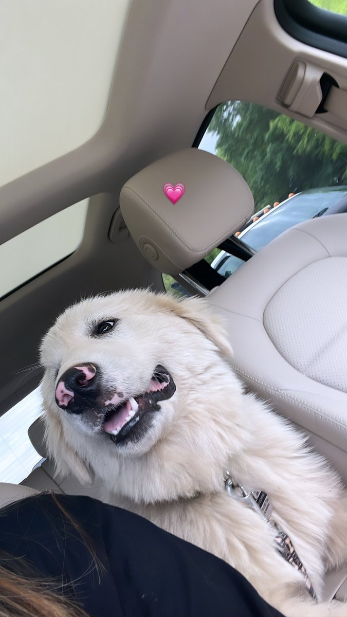 _persuASIANN's tweet photo. say hi to my new baby https://t.co/dQE1AO3V2a