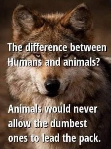 HapThompson's tweet photo. Lol true https://t.co/h3G6ArvHdj