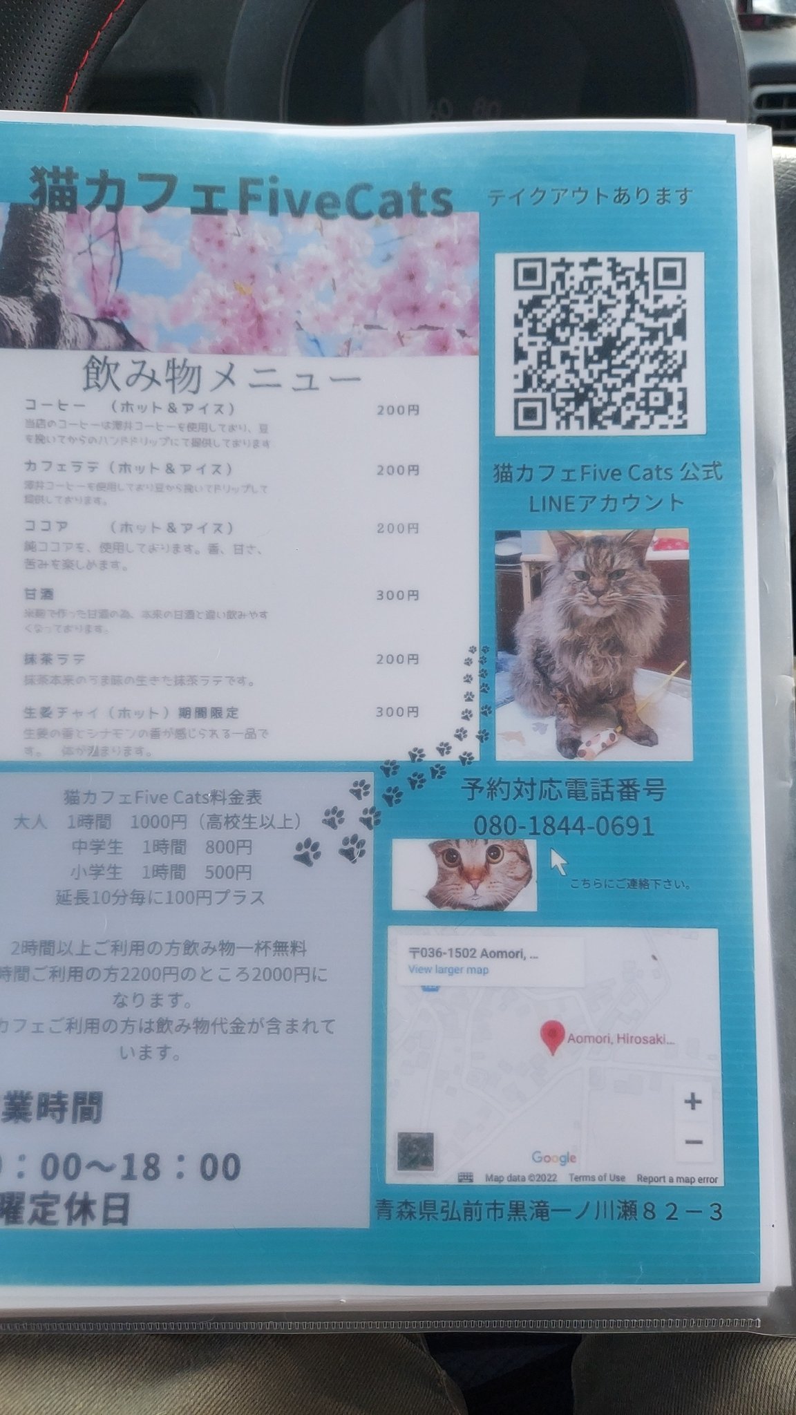 猫カフェfivecats ファイブキャッツ 青森にある猫カフェ 子猫のへや