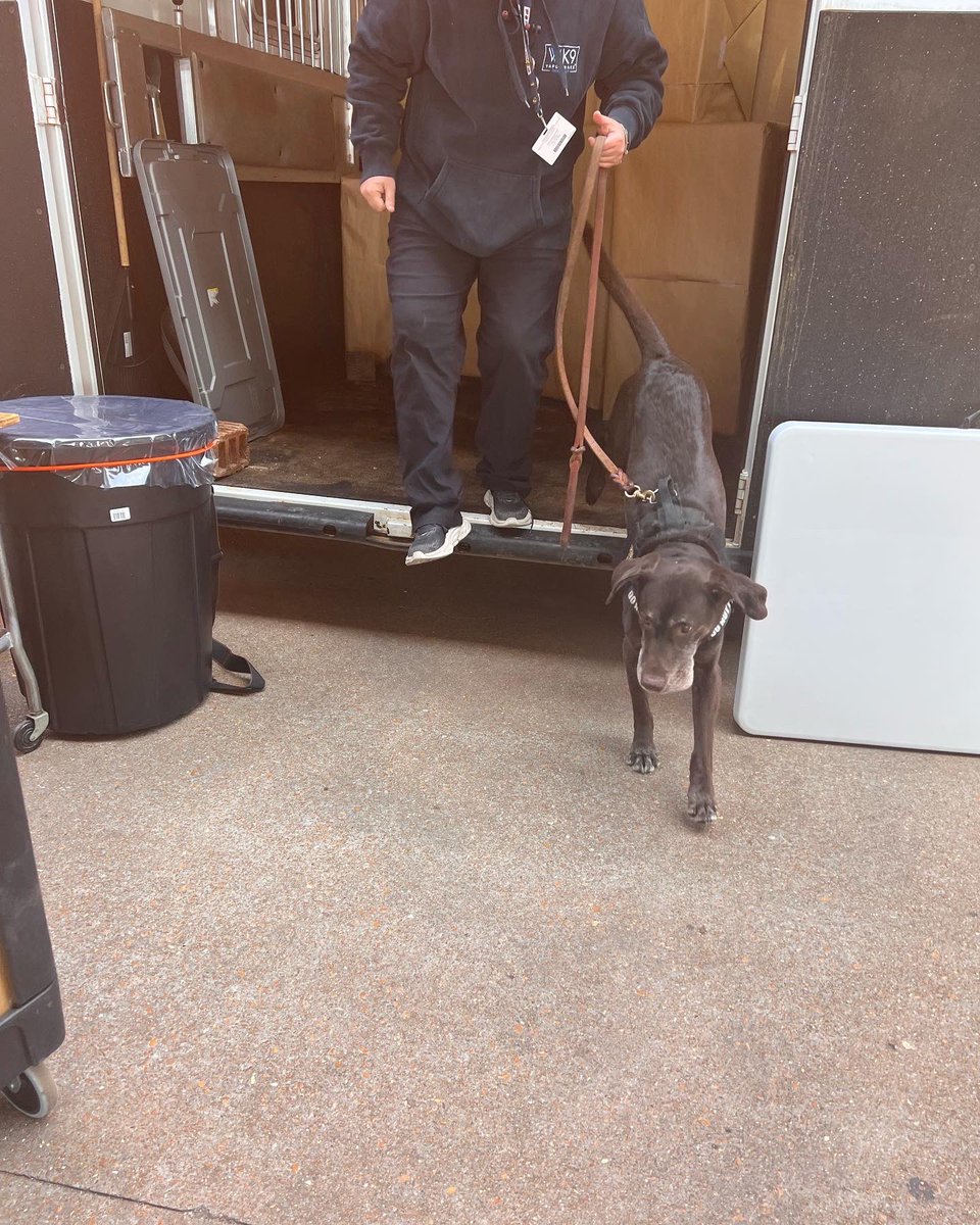 tvalwx's tweet image. Detection Canine Tank 🐕‍🦺 cleared our equipment for #WeatherDay ⛈ Hope to see you all tomorrow at @Cardinals stadium ⚾️ #STLWeather