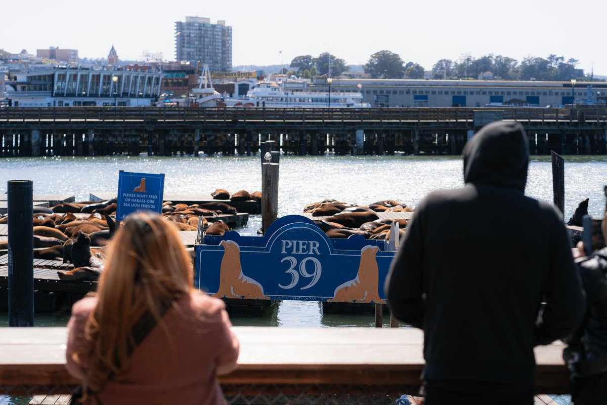 A Day in the Bay

#SanFrancisco 
#createexplore
#写真で伝えたい私の世界
#写真好きな人と繋がりたい
#ファインダー越し私の世界
#写真で奏でる私の世界
#Sony
#lightroom
#aquariumofthebay 
#creativeoptic
#ourmoodydays
#カメラのある生活
#カメラ友達募集
#discover
#bayarea 
#travel