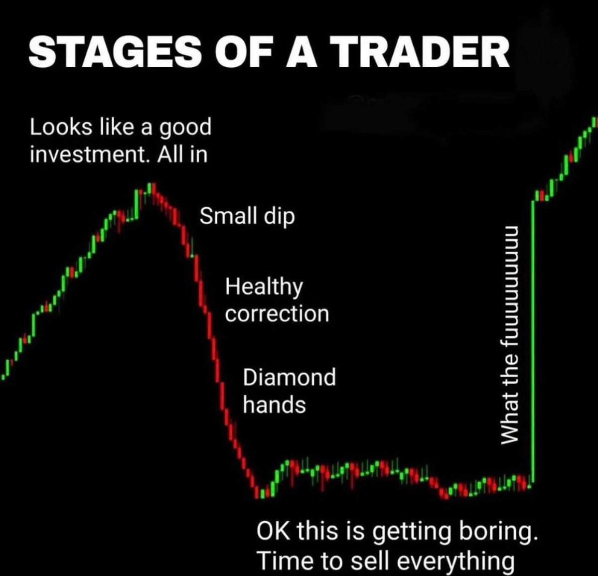 Just remember #Shibarmy, the entire Crypto market is down right now. #SHIB is the future of crypto as there is so much that the #SHIBA ecosystem will bring. Not financial advice but I would #HODL!!!