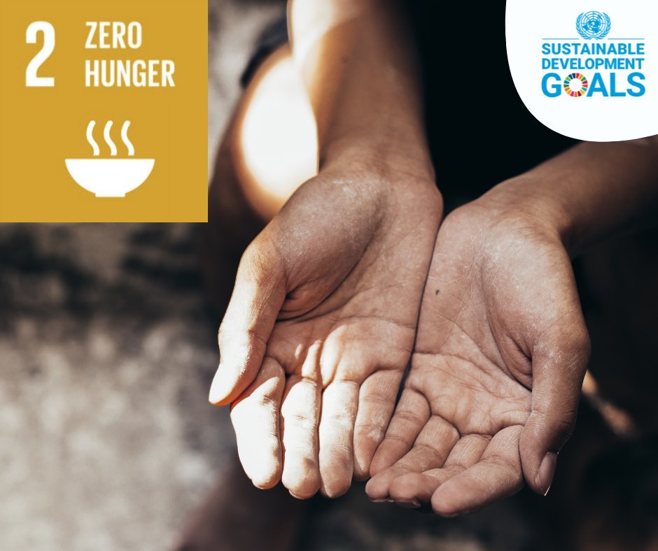 Propenomist's tweet photo. SDG-2 | Zero Hunger | END HUNGER, ACHIEVE FOOD SECURITY &amp; IMPROVED NUTRITION WHILE PROMOTING SUSTAINABLE AGRICULTURE! Let’s promote free distribution of “close to expiring date” food to the less fortunate. #Propenomy #Propenomist #SDG203 #SDG2 https://t.co/wNNwLS3o9A