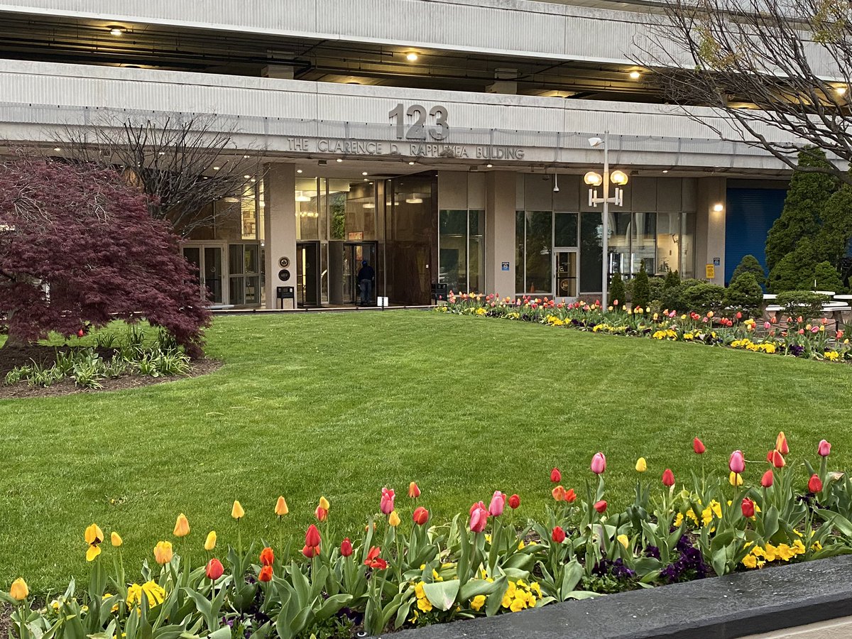 MikeStanton2012's tweet photo. Way to landscape, @NYPAenergy! #TulipPower https://t.co/SJQpjCys71