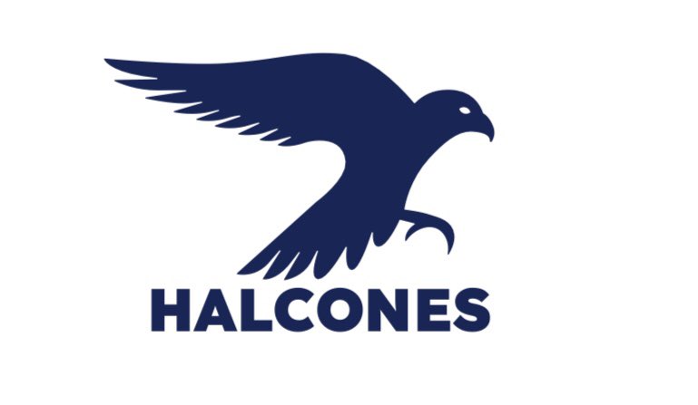 Halcones es una Asociación Civil sin fines de lucro integrada por voluntarios que trabajamos desde julio de 2021 con jóvenes privados de libertad en la Colonia Berro.

Vamos cada sábado a visitar, principalmente a aquellos chicos que no reciben visitas (1/4)