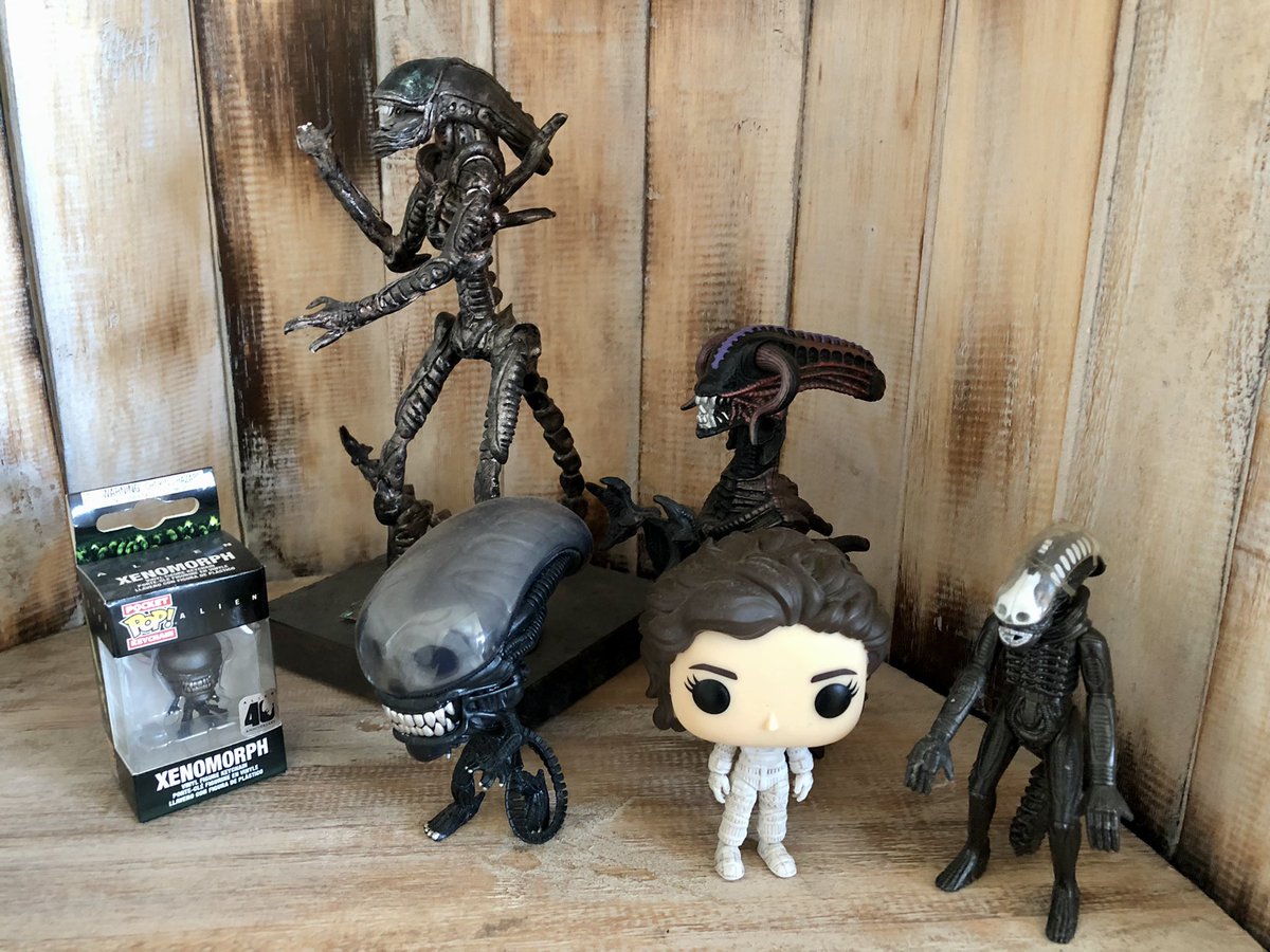 Emysun's tweet photo. Happy #AlienDay 
@Lauropvr https://t.co/dobfJZDcZp