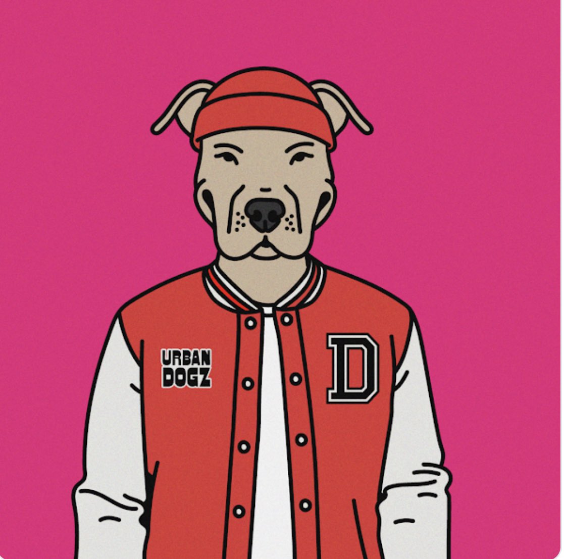 Cryptoseb8's tweet photo. @UrbanDogzClub 😍 lit!!! https://t.co/qSvRoYVGXJ