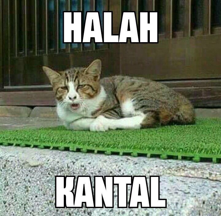 RianZull's tweet photo. @imam_hastian https://t.co/TKIAtrtawf