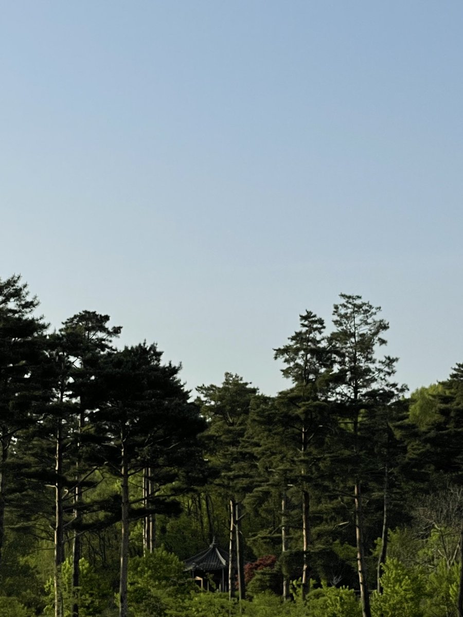 san_rang_hae's tweet photo. 오늘도 좋은하루 보내거라 산아
#김안산랑해 https://t.co/L4Fvqidc4W