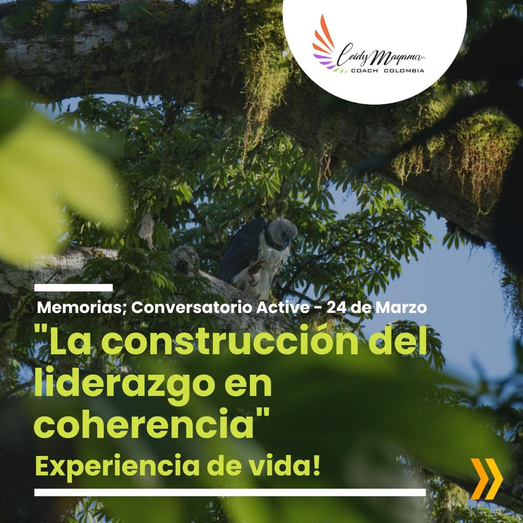 CoachLeidy's tweet photo. 📚Memorias; Experiencias de Liderazgo!
"Al transformar nuestra alma se conecta con la misión de voluntad"
📢Recordatorio
🗣️Conversatorio Active:
Jueves 28 de Abril; 7:30pm 
Conéctate por Facebook 👉@LeidyMayamaCoach 
#MocoaPutumayo #CicloSiete #ConversatorioActive #ÁguilaHarpía https://t.co/MknMMaPy85