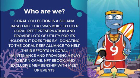 CollectionReef's tweet photo. Check Out Our White Paper! 

Help us save the coral reefs!

Come interact with us in our discord👇👇👇👇👇👇👇👇👇👇👇

https://t.co/A1F00LNkV6

#nft #nfts #Crypto #coralreefs #environment #environmentart #InvestInOurPlanet #investing https://t.co/pUxZvcggkK