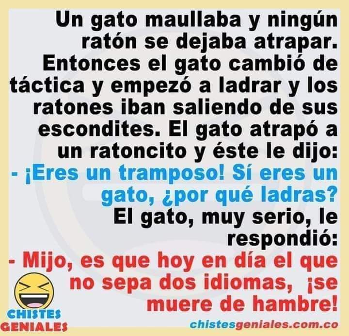 UniExpresArte's tweet photo. ¿Miedo de hablar inglés en público?
¿Se te dificulta pronunciar correctamente?
¿Te aburre la gramática?
����‍💻Aprende inglés 100% conversacional con un método único "Emotional English".
☝️ Hoy en día quien no sabe dos idiomas se muere de hambre. https://t.co/W8EBXeA1rp