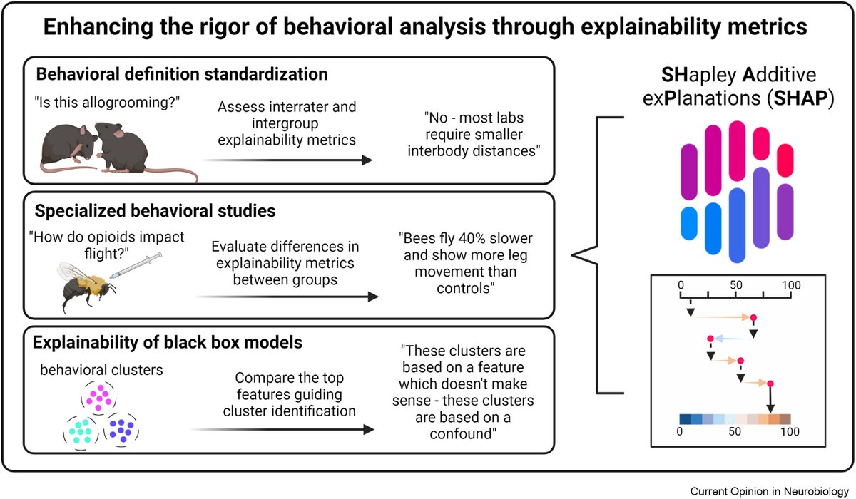 NastaciaGoodwin's tweet photo. Another @GoldenNeuron collaboration between myself and @nilssonsro hot off the press - in this current opinion we present that explainability and transparency metrics are the next critical direction for use of ML in behavioral classification. https://t.co/cADUus3e5o  1/6 https://t.co/GPK8rau1X0