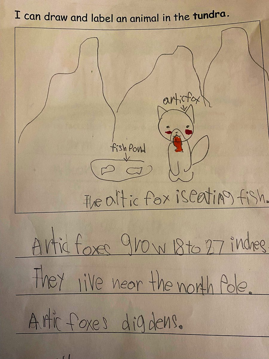 Stacey Addy tweet media