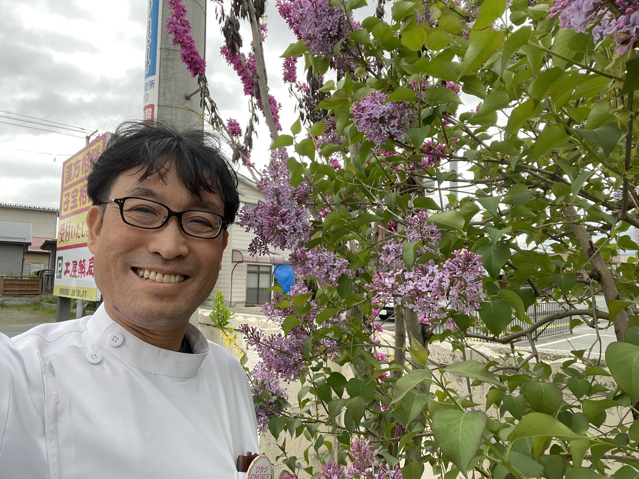 土屋薬局 漢方で家族みんなの健康をサポートします おはようございます ライラック リラ の花とハナズオウが見ごろです 紫色のライラックの花言葉は 恋の芽生え 初恋 ハナズオウの花言葉は 裏切り 不信仰 調べるとユダがイエスを裏切った