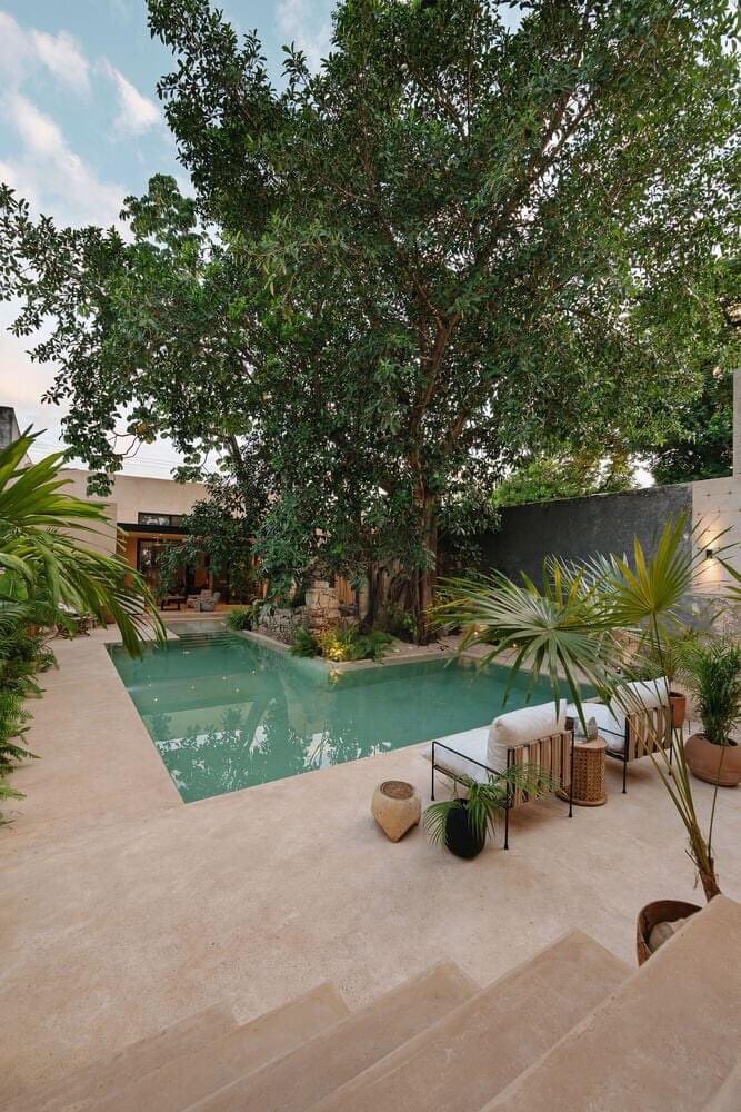 ____TRC____'s tweet photo. Yo quiero una casa con patio interior y muchas plantas. https://t.co/RLeGlesfYc