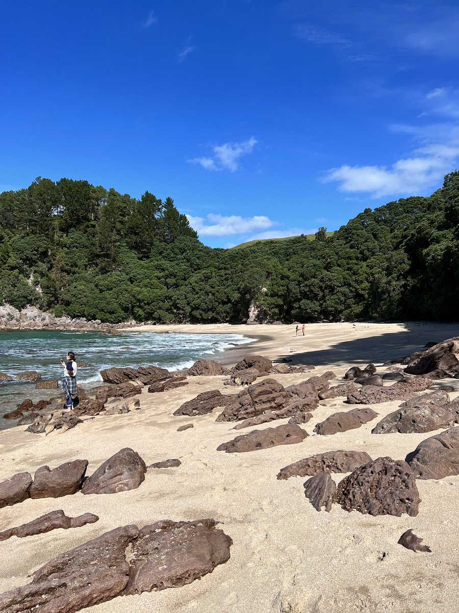 Whole beach to ourselves. Autumn in Aotearoa.