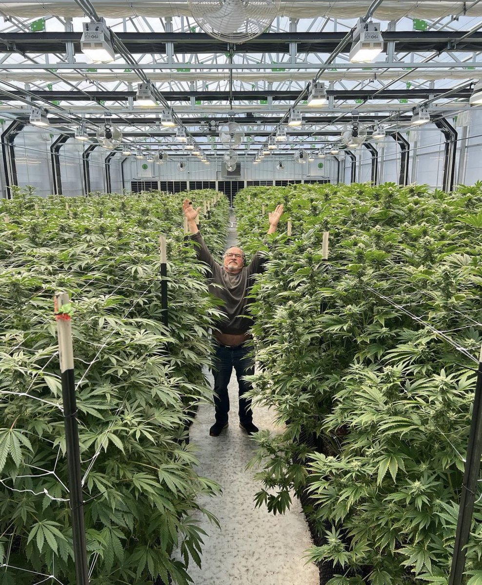 JimBelushi's tweet image. Medicine!