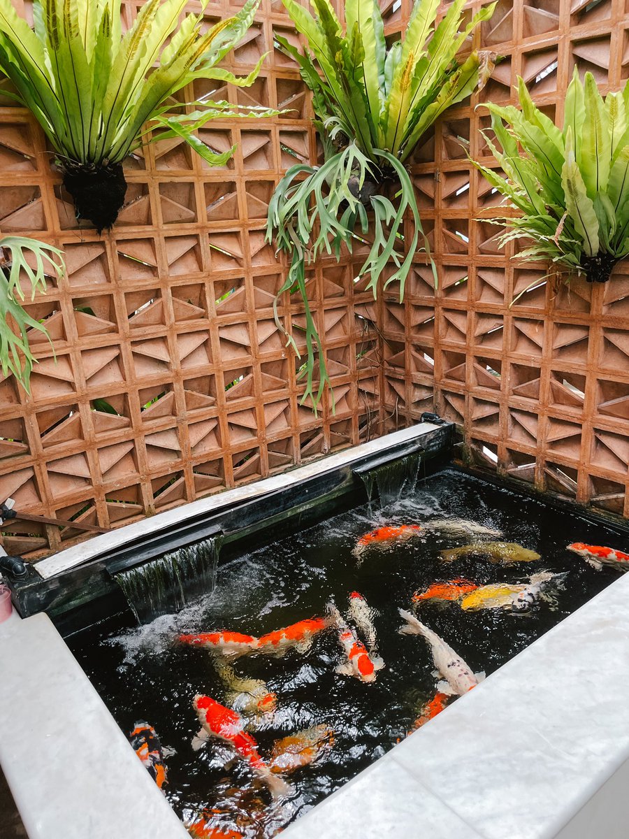 cha tweet media