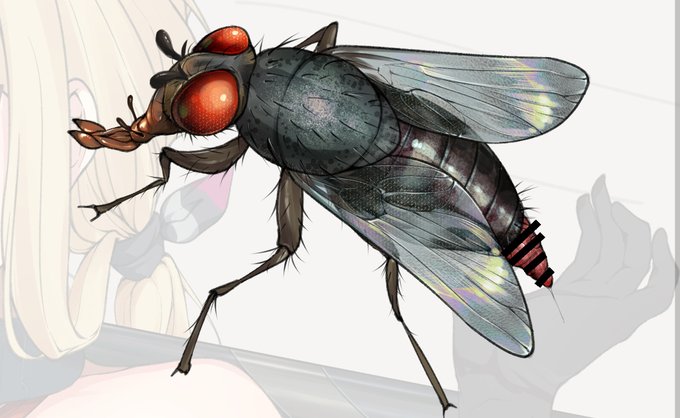 â æè«æ³šæâ insectsâ ð
ãã«ãŒããã¿ãããªè¿ã®çæ§ã§ããŸãããå£ãšäœæ¯ãããããããã£ãšçããããâŠ