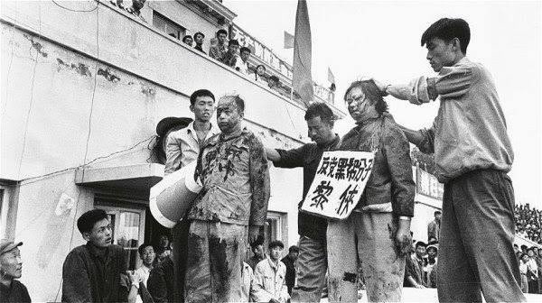 草根小哥 tweet media
