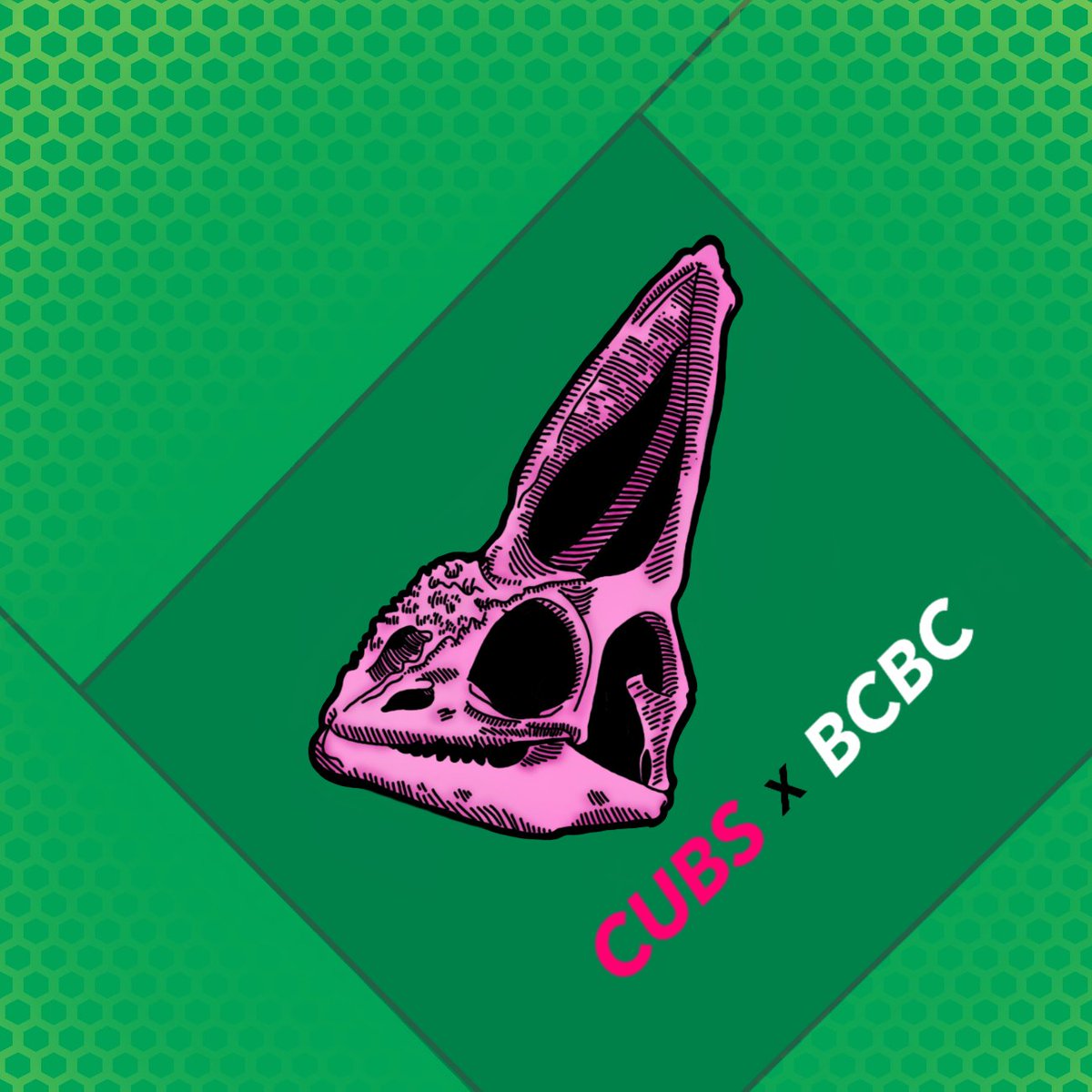 BcChameleon's tweet photo. Introducing our new Bored Chameleon Boat Club Collection. 
Bored Chameleon CUBS Club. 🥰👏🤩
#nfts #nft #nftart #nftcommunity #nftcollector #nftartist #crypto #digitalart #cryptoart #art #ethereum #opensea #nftcollectors #blockchain #nftdrop #cryptocurrency #nftcollectibles https://t.co/8BBIfLueMR