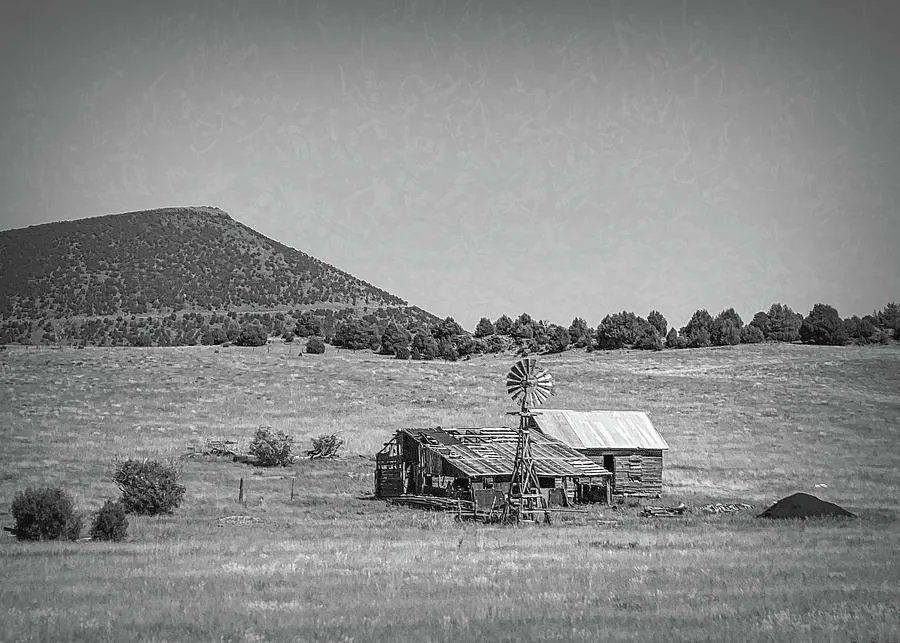 DebraMartz's tweet photo. Abandoned in New Mexico Near Capulin Volcano by Debra Martz
LINK HERE>>> https://t.co/JbQegPyeHP
#blackandwhite #abandoned #NewMexico #Capulin
#BuyIntoArt #SpringForArt #ThisSpringBuyArt https://t.co/oFXyUceWBZ