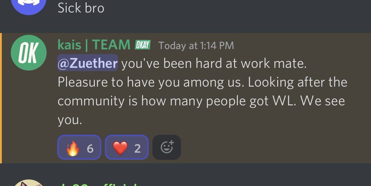 0xzuether's tweet photo. Getting a message from the team is insane, they notice me @okaybears WAGBO 💗 https://t.co/gyOxmIHKPO