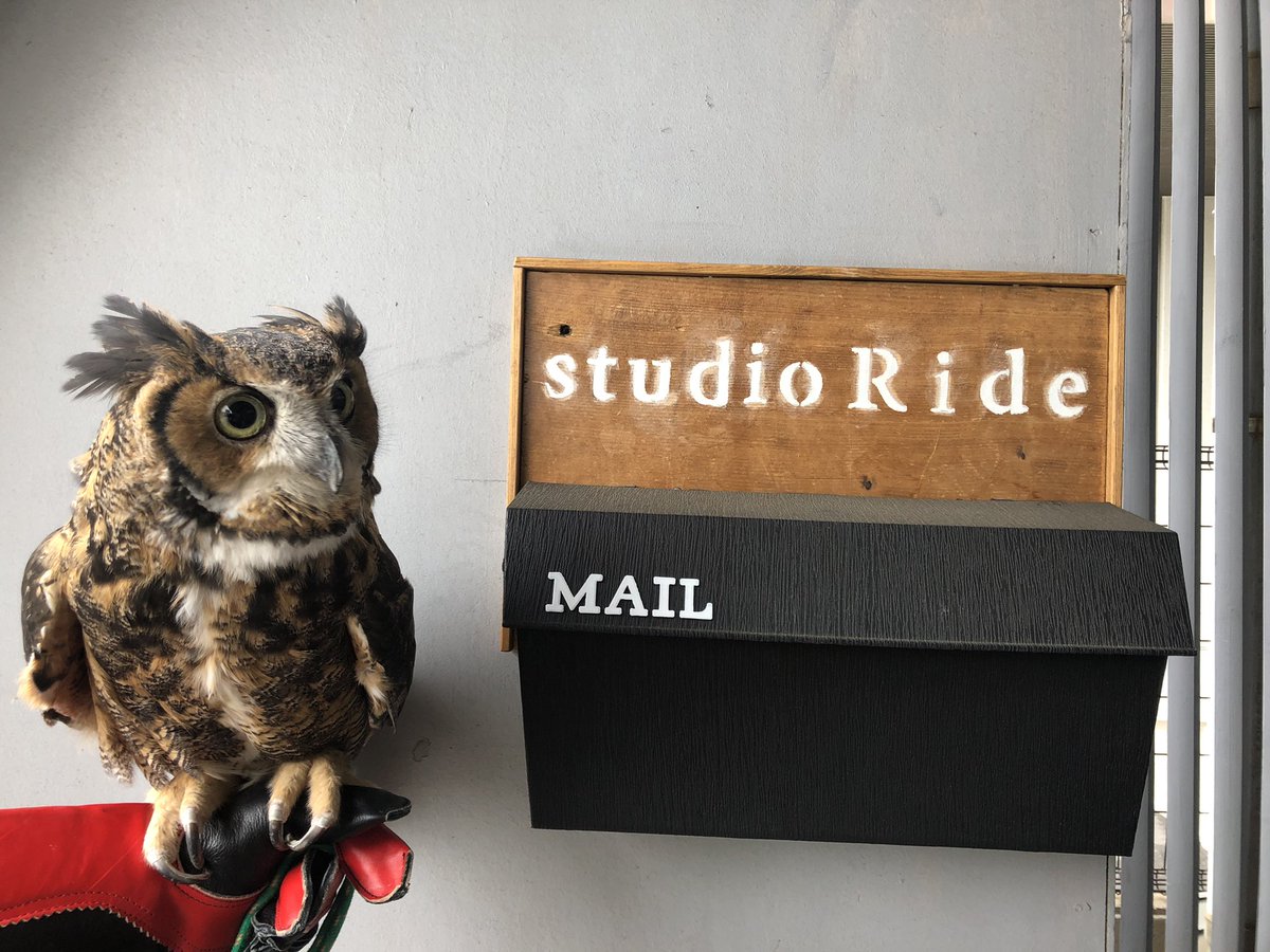 mmaokakutokyo's tweet photo. わさびさん
本日、撮影で出張📸
#ふくろうの里吉祥寺
#格闘梟
#studioRide https://t.co/nNNc1U2uLt