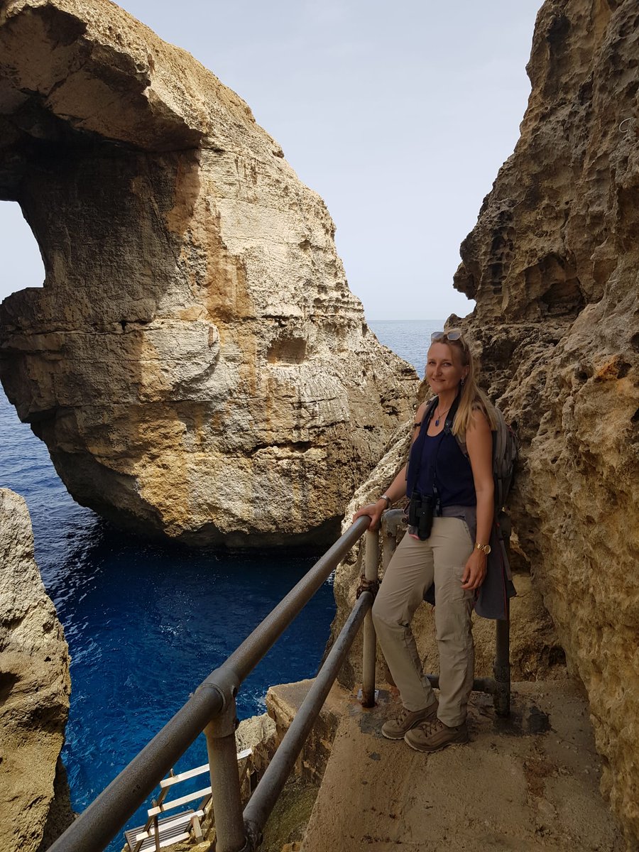 Visiting the beautiful island of #Gozo, but horrified by the massive #shooting of #MigratoryBird <a href="/MaltaGov/">Government of Malta 🇲🇹</a> you could be a prime #birding destination! We are surrounded by hunters n bullets! Stop killing your natural treasure and be the host these birds deserve! <a href="/BirdLife_News/">BirdLife International</a>