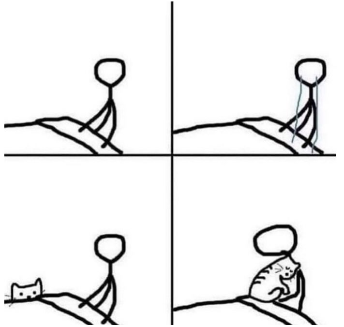 girly memes (@girlymemes) on Twitter photo 