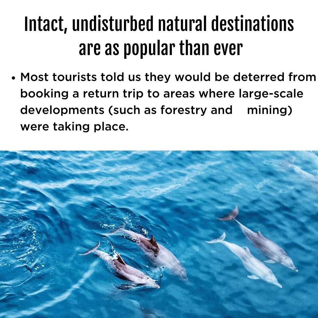 Last year, we asked you about how and where you travel and what birdwatching tourism looks like for you. Here's what we found!

📷<a href="/LukeTscharke/">Luke Tscharke</a>, <a href="/infocusstudios2/">in_focus_studios</a>, Flying Parrot Photography and Ben Hudson