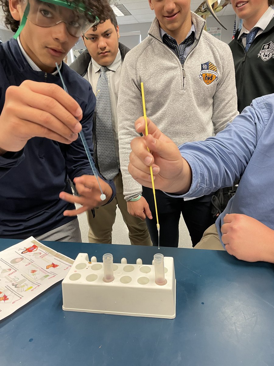 SIHSSciOly's tweet photo. Celebrating #DNADay in Biology class @SIHSCleveland and Affinity courses @TheWelshAcademy Marvelling at the molecule of life in strawberries https://t.co/esX73Ndk5M