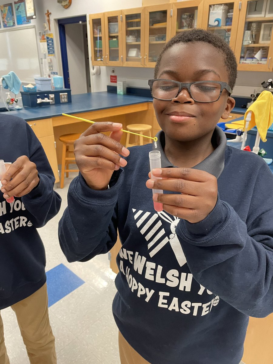 SIHSSciOly's tweet photo. Celebrating #DNADay in Biology class @SIHSCleveland and Affinity courses @TheWelshAcademy Marvelling at the molecule of life in strawberries https://t.co/esX73Ndk5M