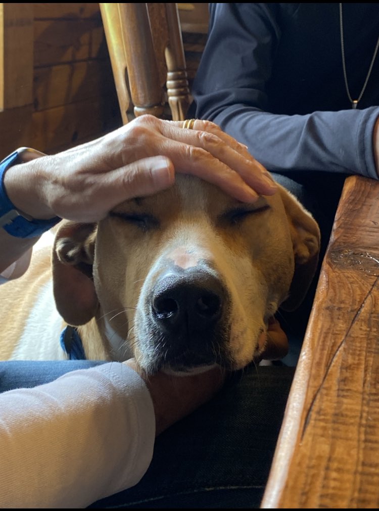 bug_tito's tweet photo. @DoctorLordBasil My head, happy? https://t.co/XCfIqxKyQS