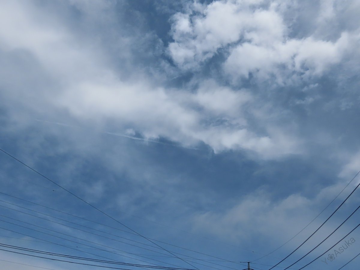 yumeasutw's tweet photo. 西から #青空 が覗き始めた蒸し暑い水曜日の朝🌥️
キッチンに扇風機を出動です😵💦
予想最高/最低気温🌡️26℃/18℃
曇り時々晴れ☁️/☀️
雲が多く午後は北東の風が吹き🌬️➰俄か雨に御用心🌂
#空の名前
#雲の教室
#天気の図鑑 #雲友
#ネモフィラ #マキュラータ
#庭花 #花 #Flower
#a2022 #a0427 #a202204 https://t.co/X7olv2XKWA