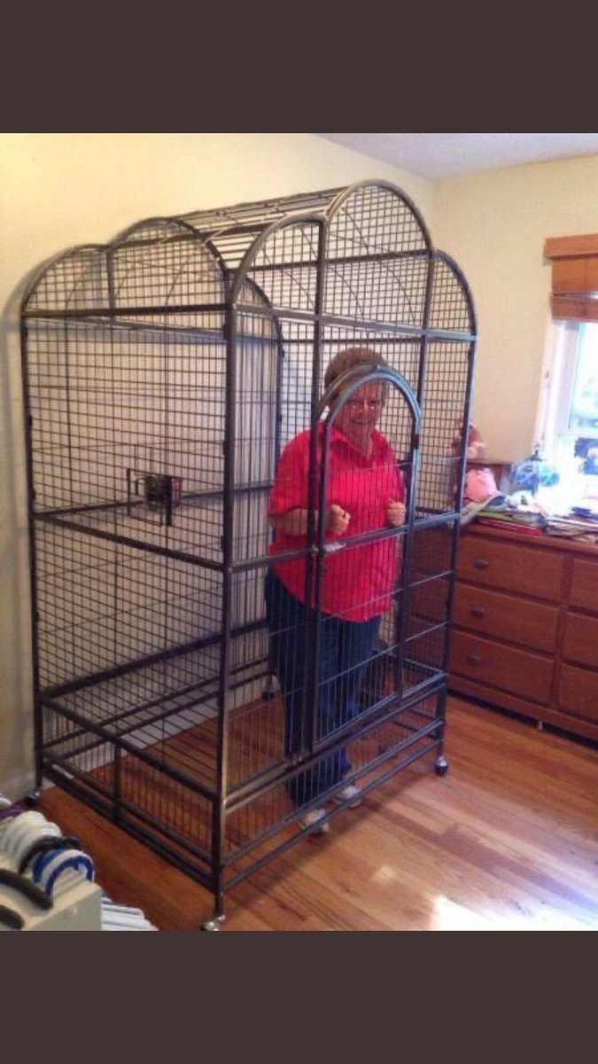 molecartin's tweet photo. Keeping my grandma in a cage until Trayce Jackson-Davis announces he’s coming back to IU for another year @ChronicHoosier @IndianaMBB @TrayceJackson https://t.co/vuE80wSldH